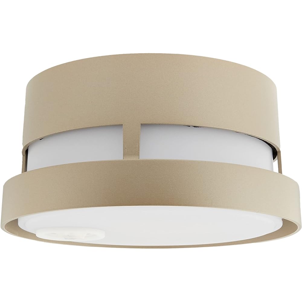 Panasonic Porch Light, Ceiling Mounted, Bulb Color, Rainproof, Energy Saving, with Brightness Sensor, 40 Type, Platinum Metallic, LGWC56020YF