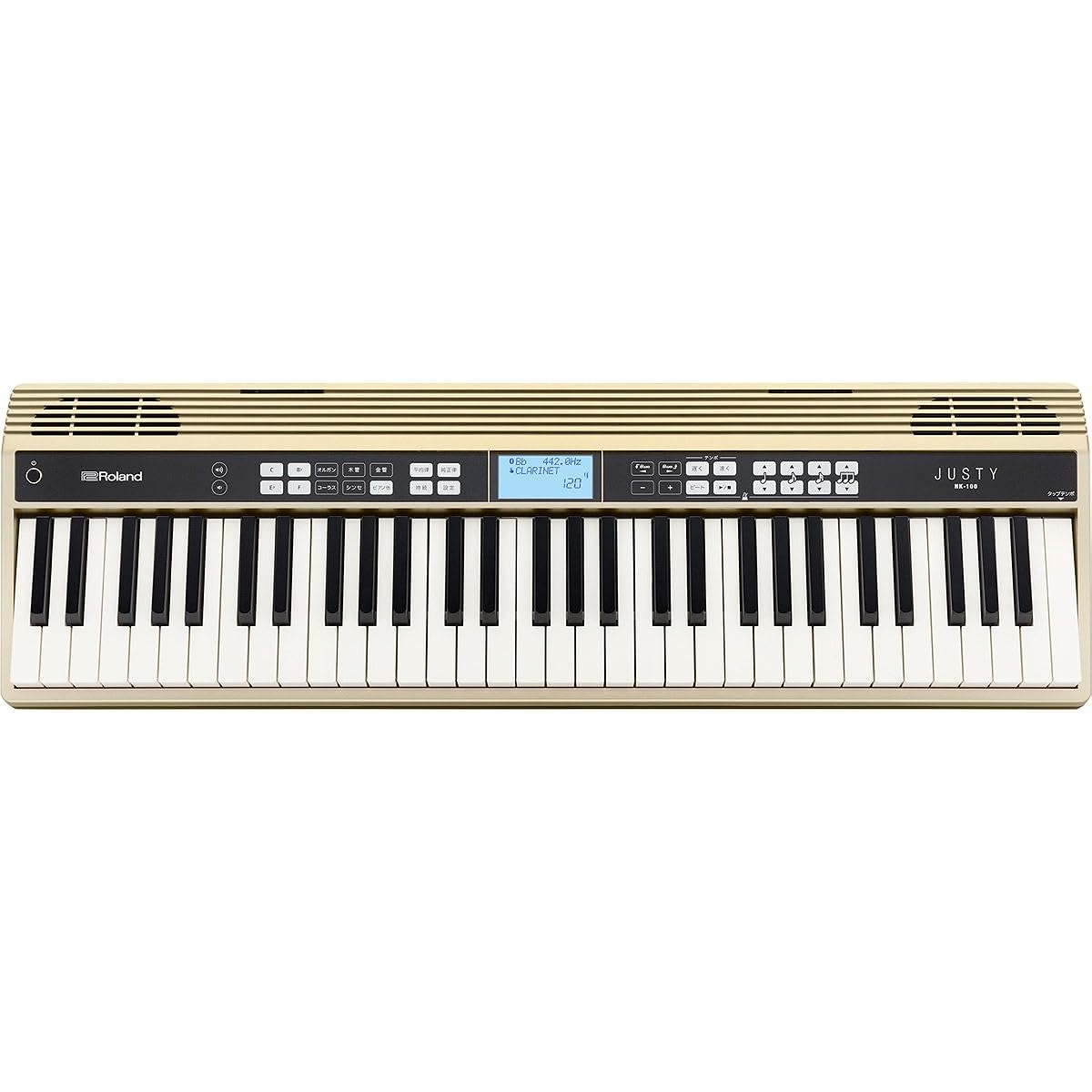 Roland Roland/JUSTY HK-100 Harmony & Rhythm Practice Keyboard