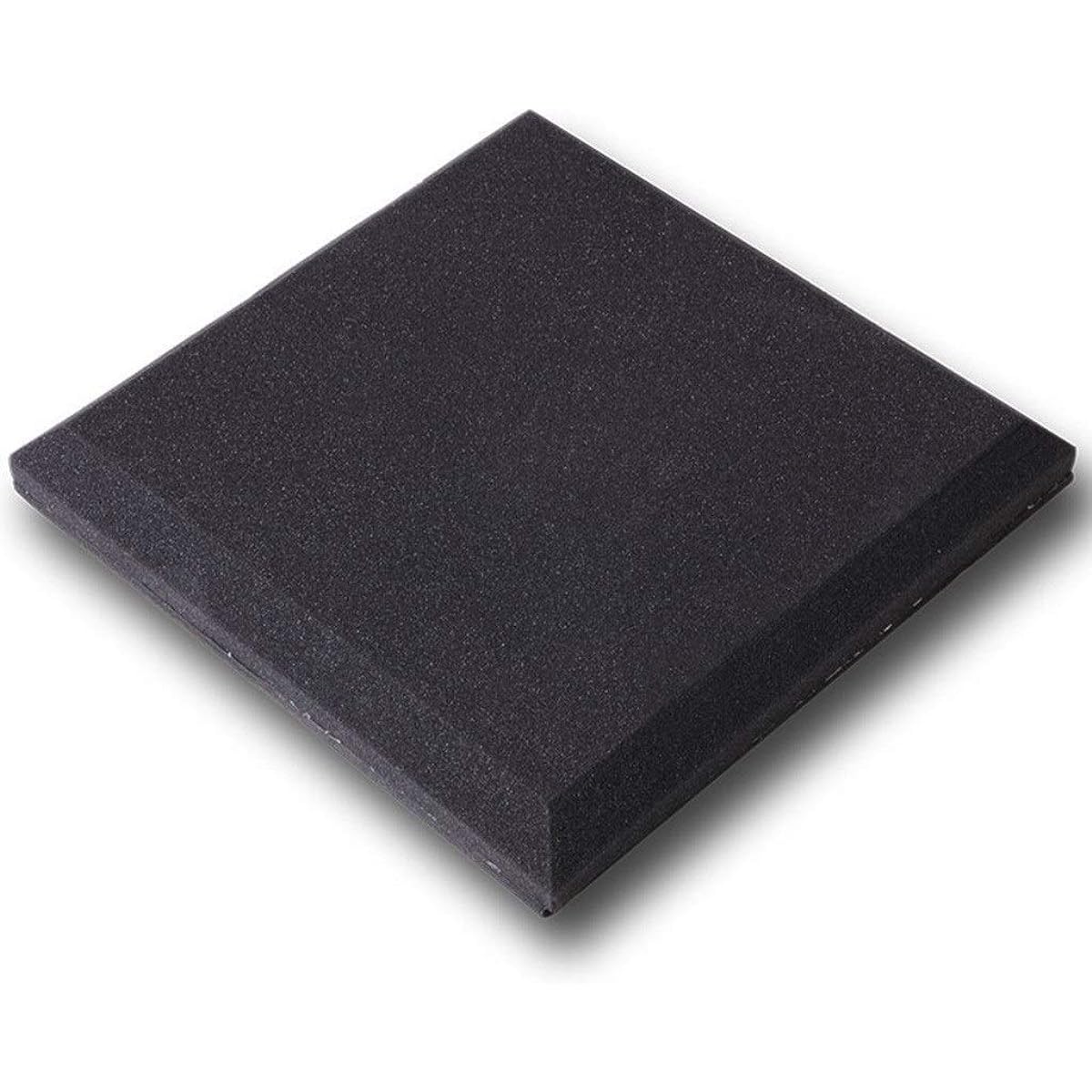 Dance Room Wall Acoustic Panels, Industrial Noise Reduction, Sound Absorbing Cotton, Soft, Fireproof, Soundproof Foam, 10PCS (Gray) (Black)