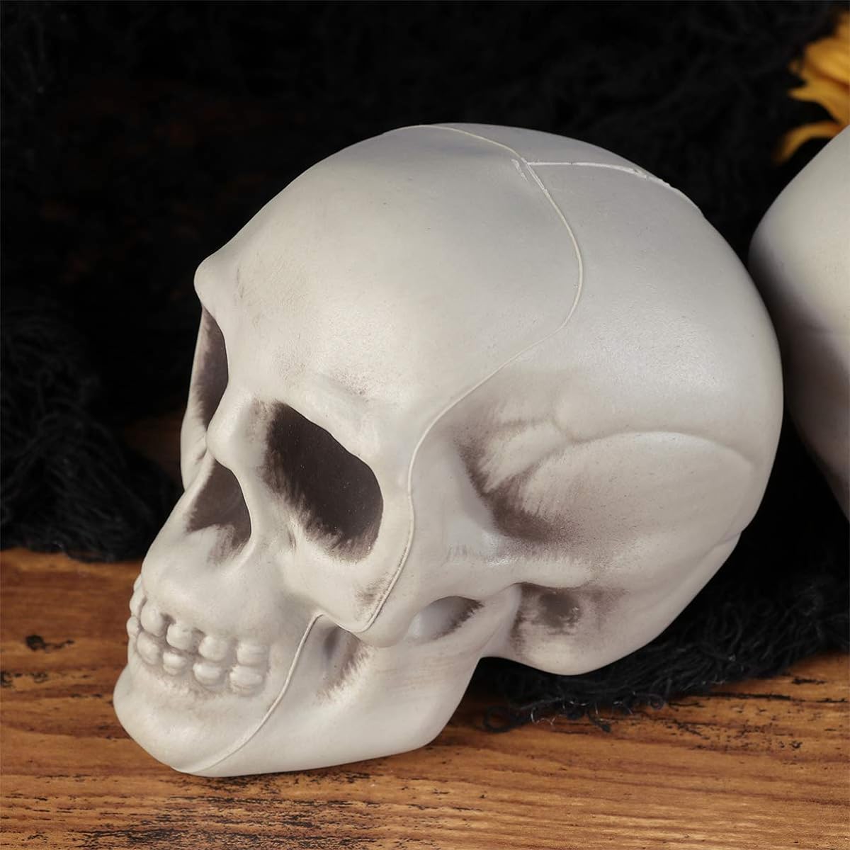 Amosfun Plastic Skull Head Skeleton Toy 2pcs Halloween Skeleton Plastic Realistic Human Skull Bone Model Haunted House Props Halloween Party Supplies Halloween Skull Decoration Skeleton