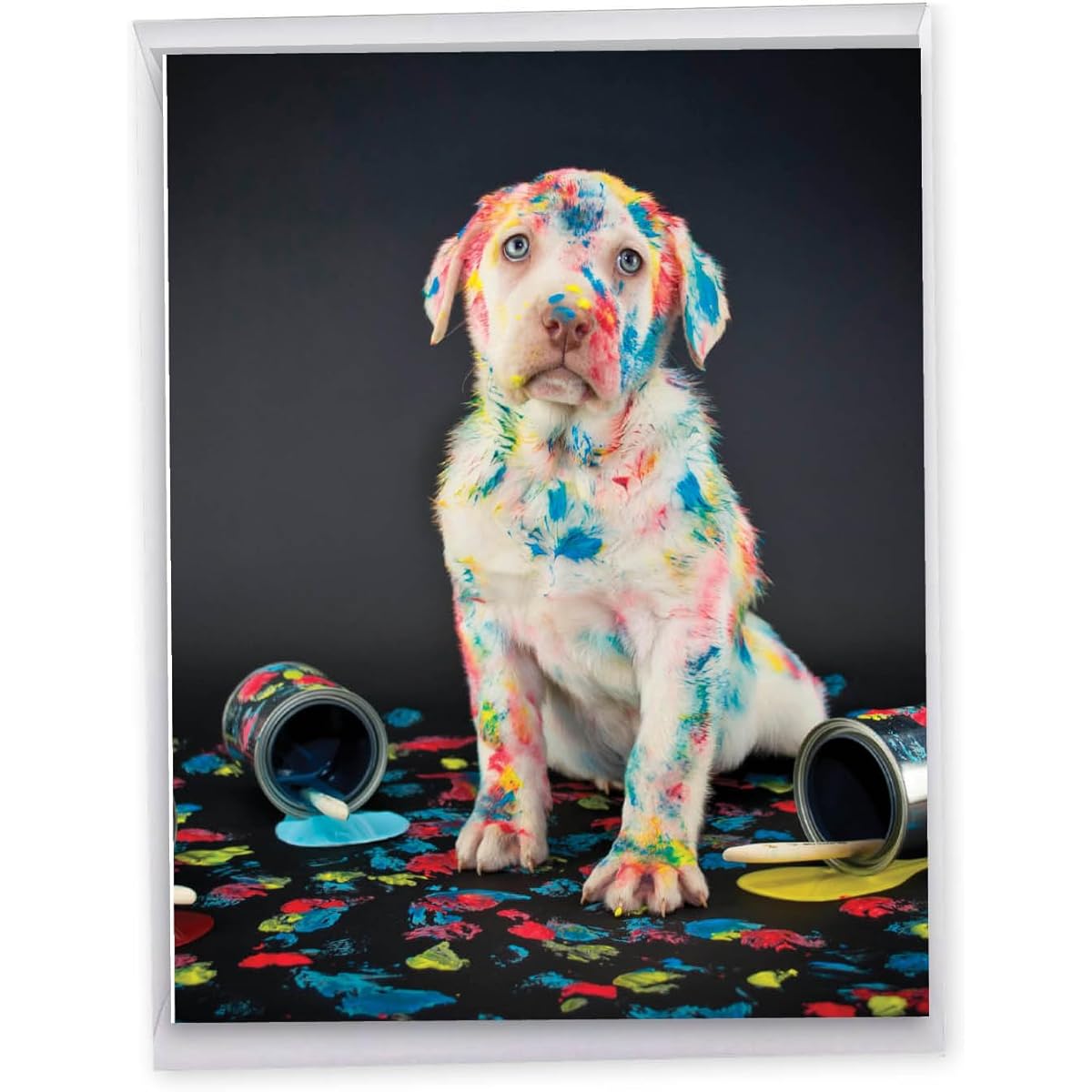 The Best Card Company Dirty Dogs - Birthday From Us Card with Envelope (Letterhead 9.7 x 11.2 inches) - Mutt Spilled Paint J7217CBDG-US