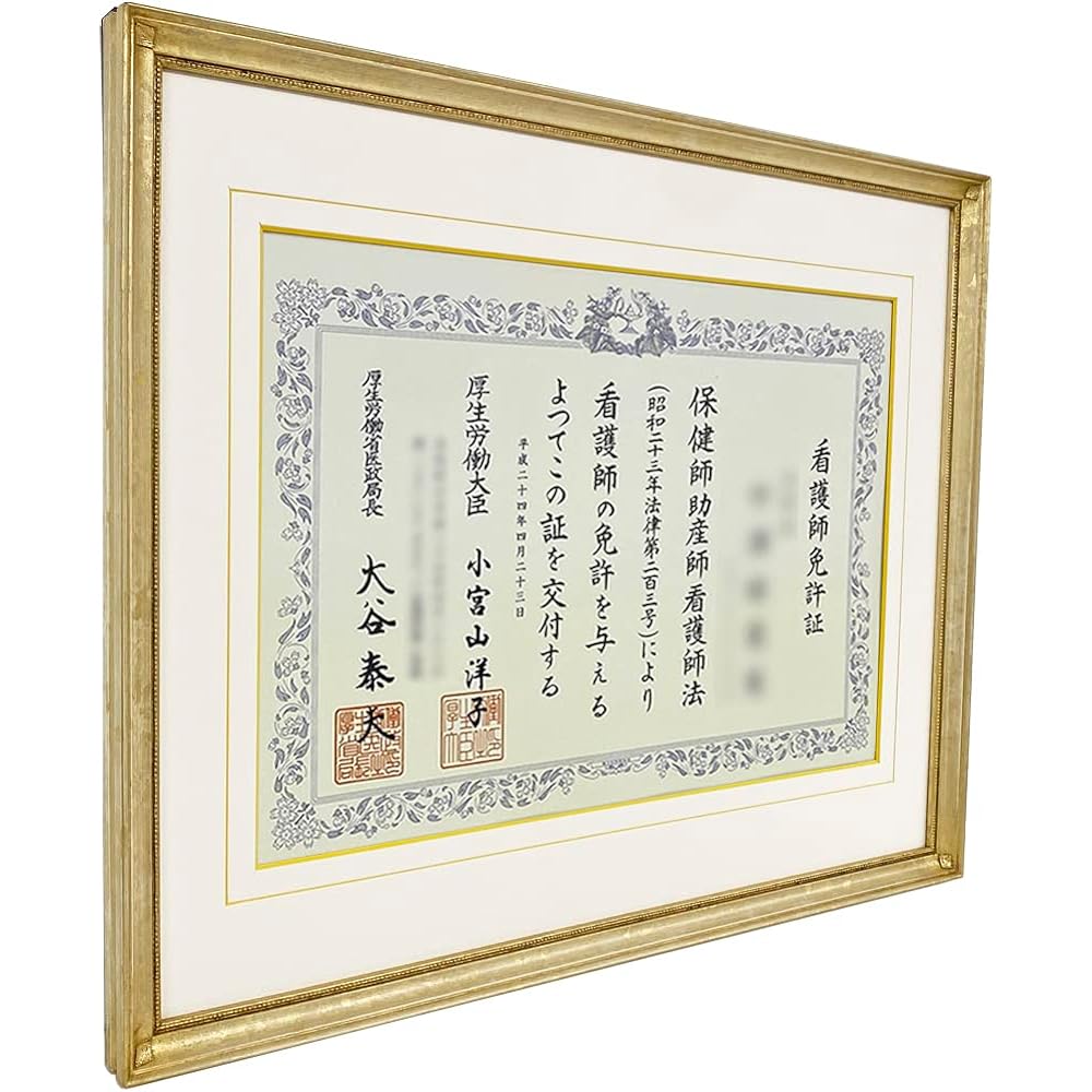 Frame for nurses license B4 certificate (258 x 365 mm) with UV protection acrylic (cuts about 98% of indoor UV rays) 7512 (white gold)