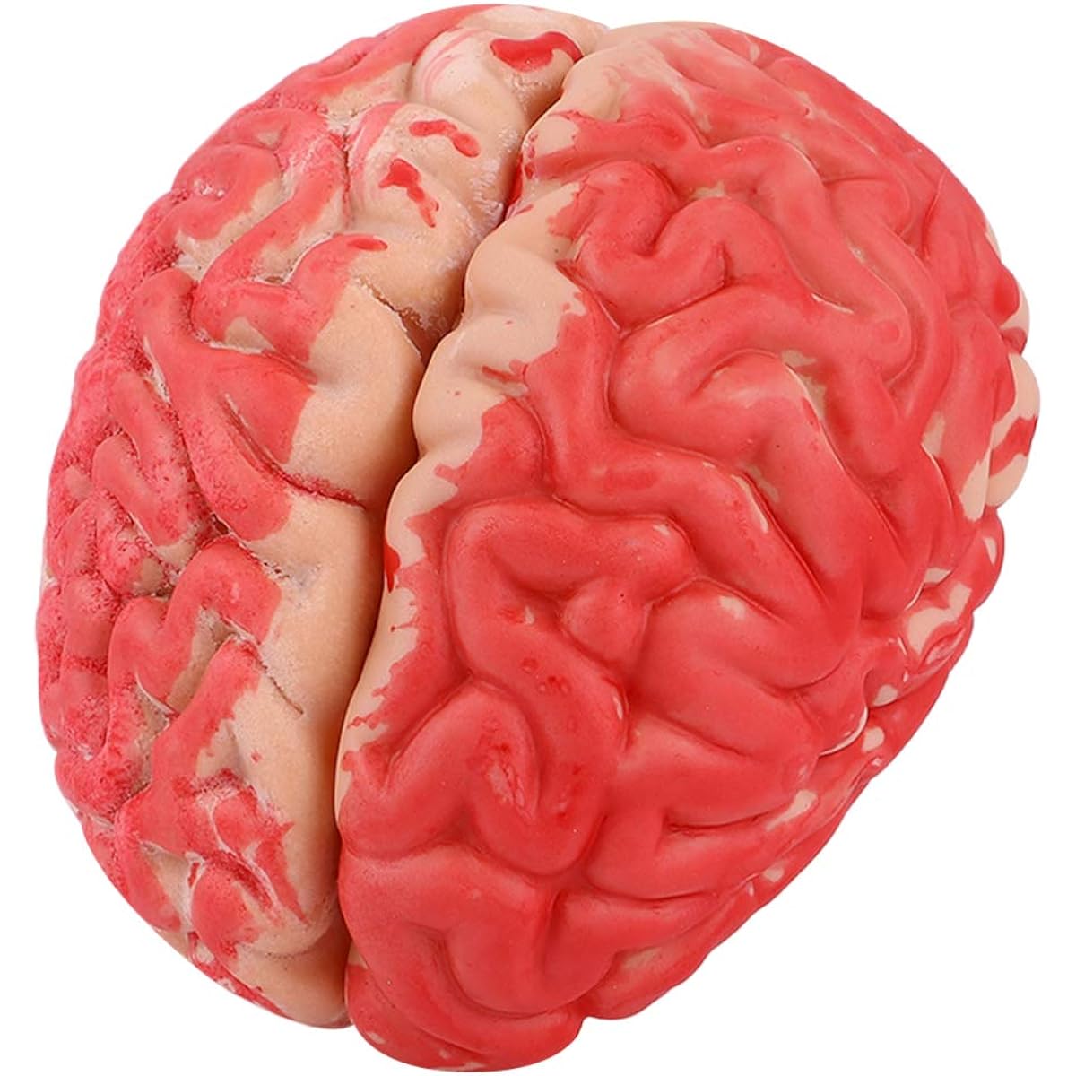 TOYANDONA Bloody Brain Fake Body Parts Halloween Horror Props Halloween Party Haunted House Decoration