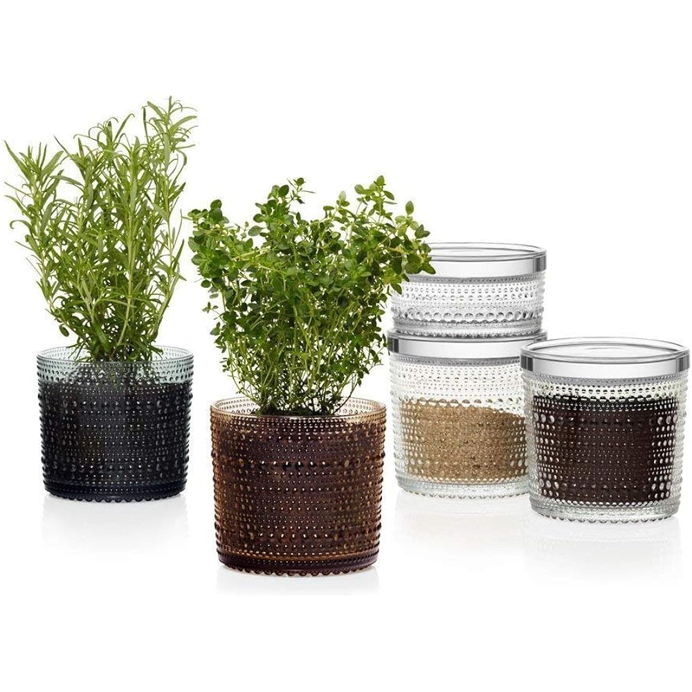 [Regular Imported Product] Iittala Kastehelmi Jar Storage Container 116 x 114mm Clear 1015372