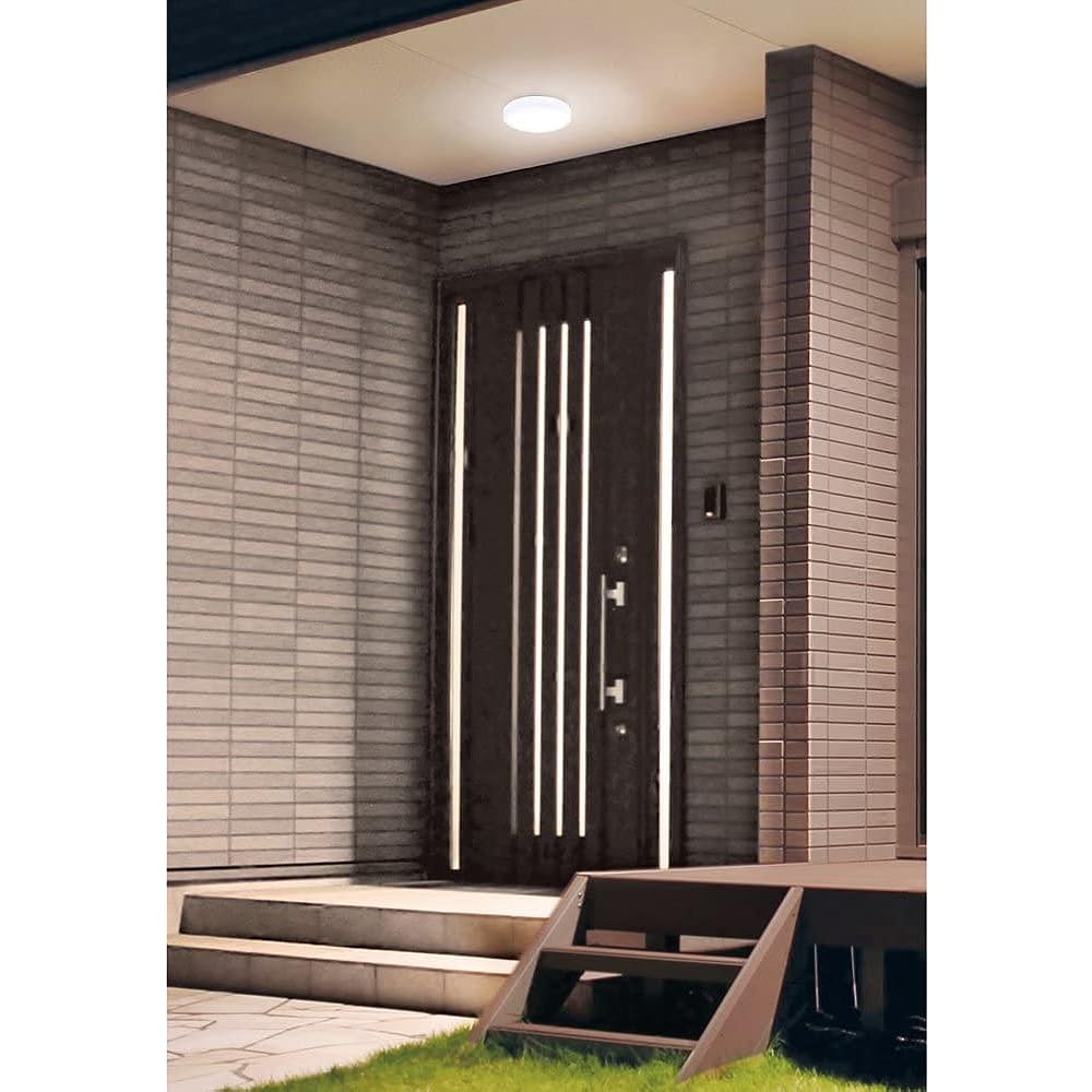Iris Ohyama LED porch/bathroom light round daylight white 1020lm CL10N-CIPLS-BS