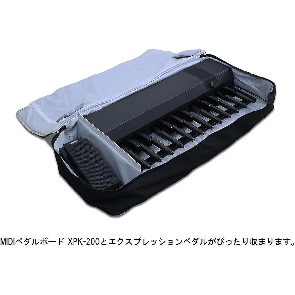 HAMMOND Soft case for Hammond stage keyboard SKX/SK2 SC-SK2