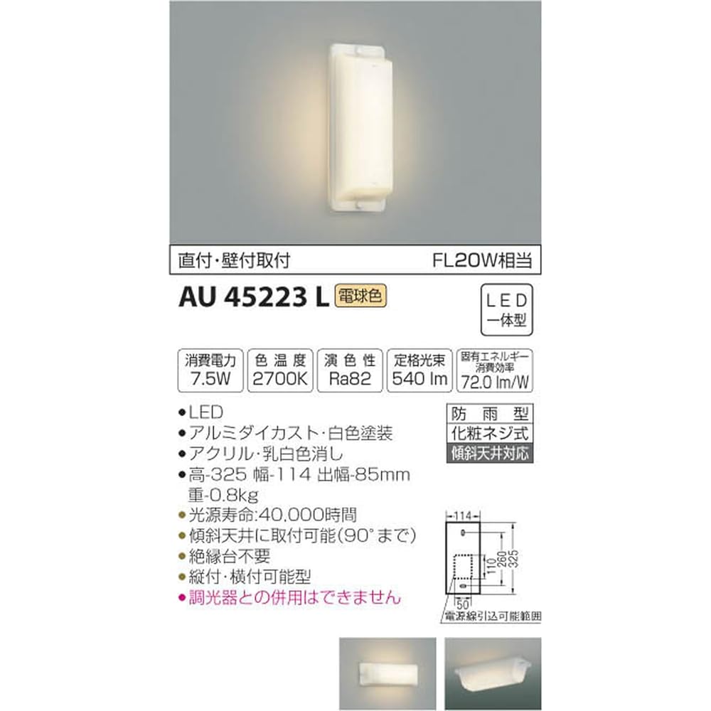 Koizumi Lighting Back Door Light Direct Mount/Wall Mount Light Bulb Color AU45223L