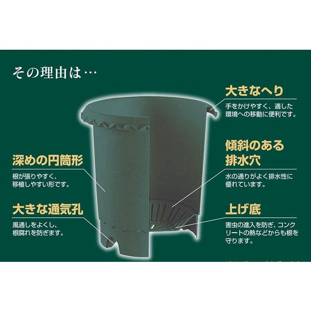 Richelle Rose Pot No. 12 Brown Set of 5