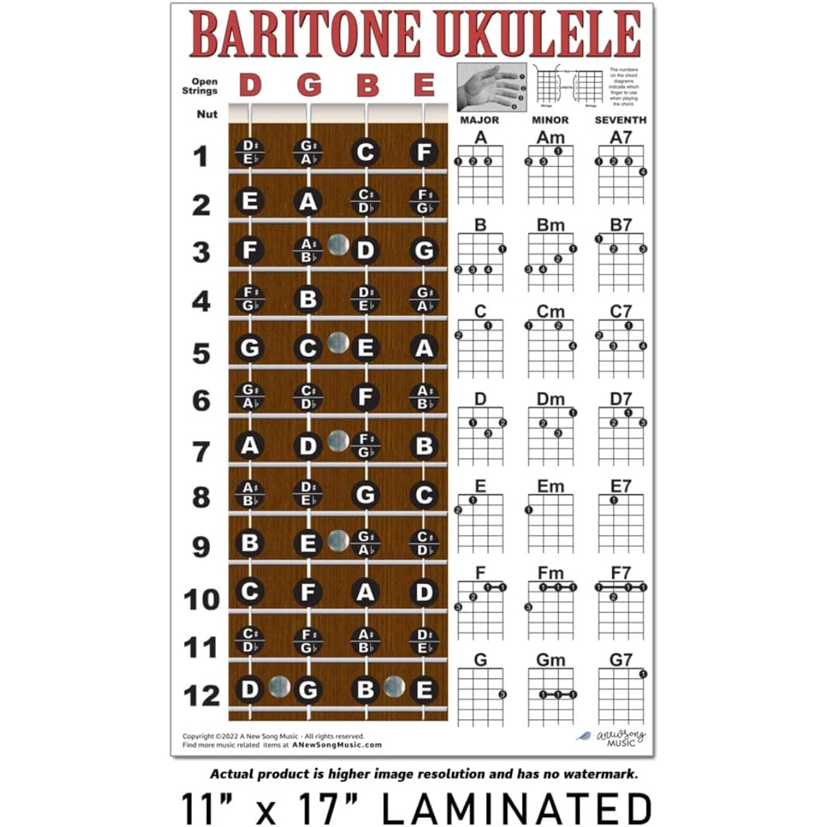 Laminated Baritone Ukulele Fretboard Notes & Easy Beginner Chord Chart 27.94cmx43.18cm Instructions Poster for Bari Uke New Song Music