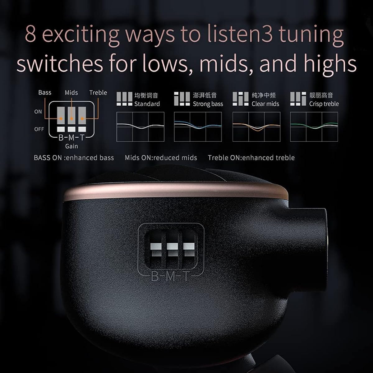 FiiO FH5s 2BA+2DD Quad Driver Hybrid In-Ear HiFi Stereo Earphones MMCX High Purity Cable Replaceable Plug 2.5mm/3.5mm/4.4mm (Black)