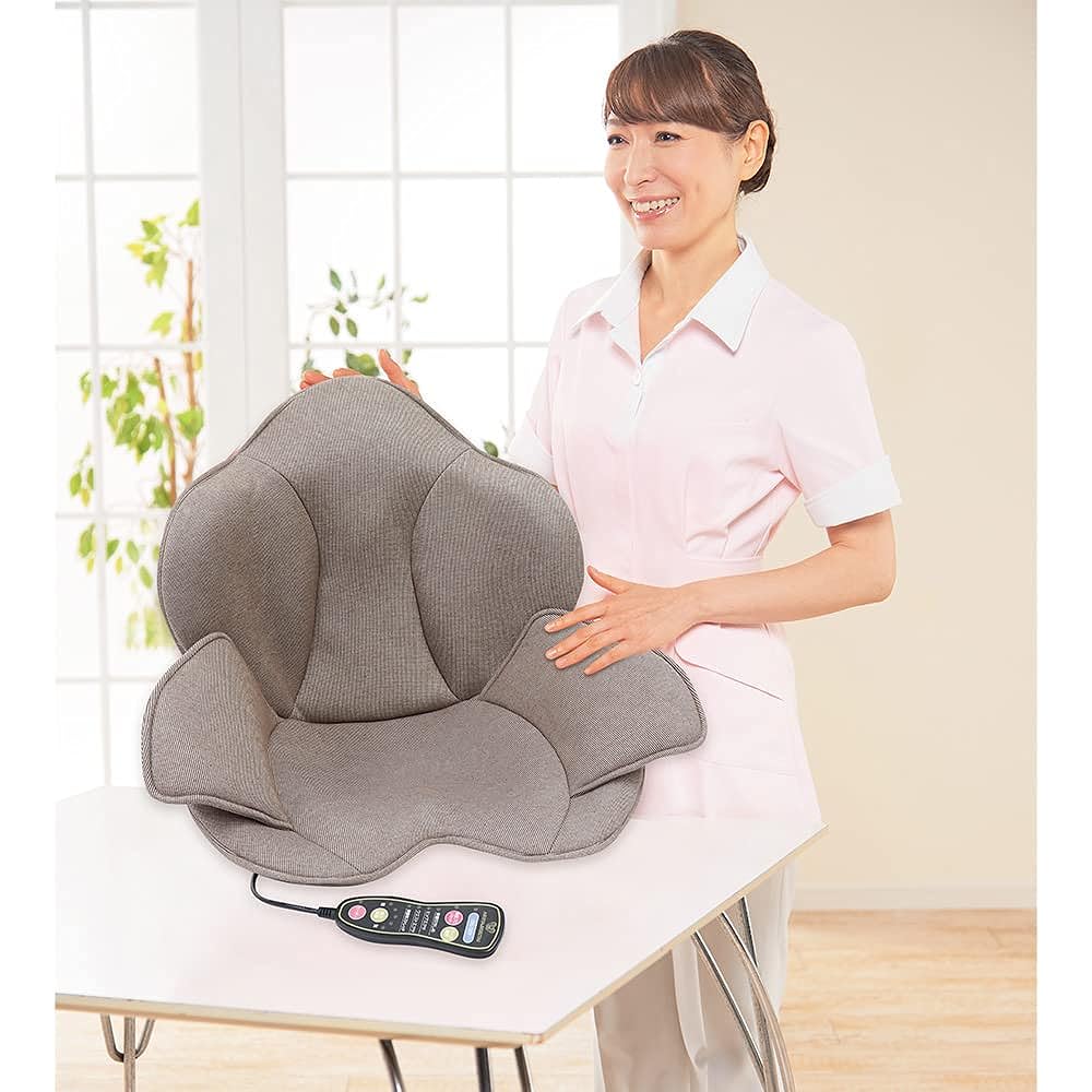 TV broadcast products Nonstop! Iimono Premium Ashiya Bi Seitai Pelvic Pro Reset Air AR2010