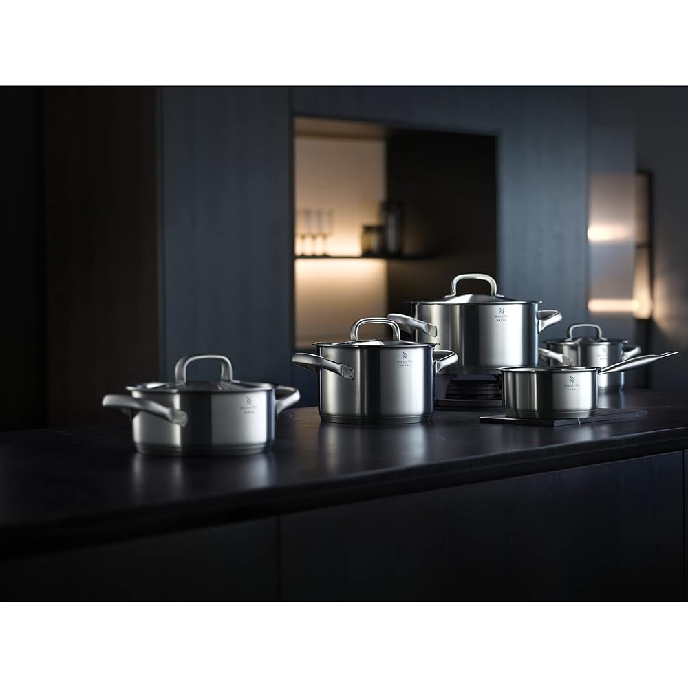WMF Gourmet Plus Low Casserole 20cm IH Gas Fire Compatible Two-handed Pot W0722206030