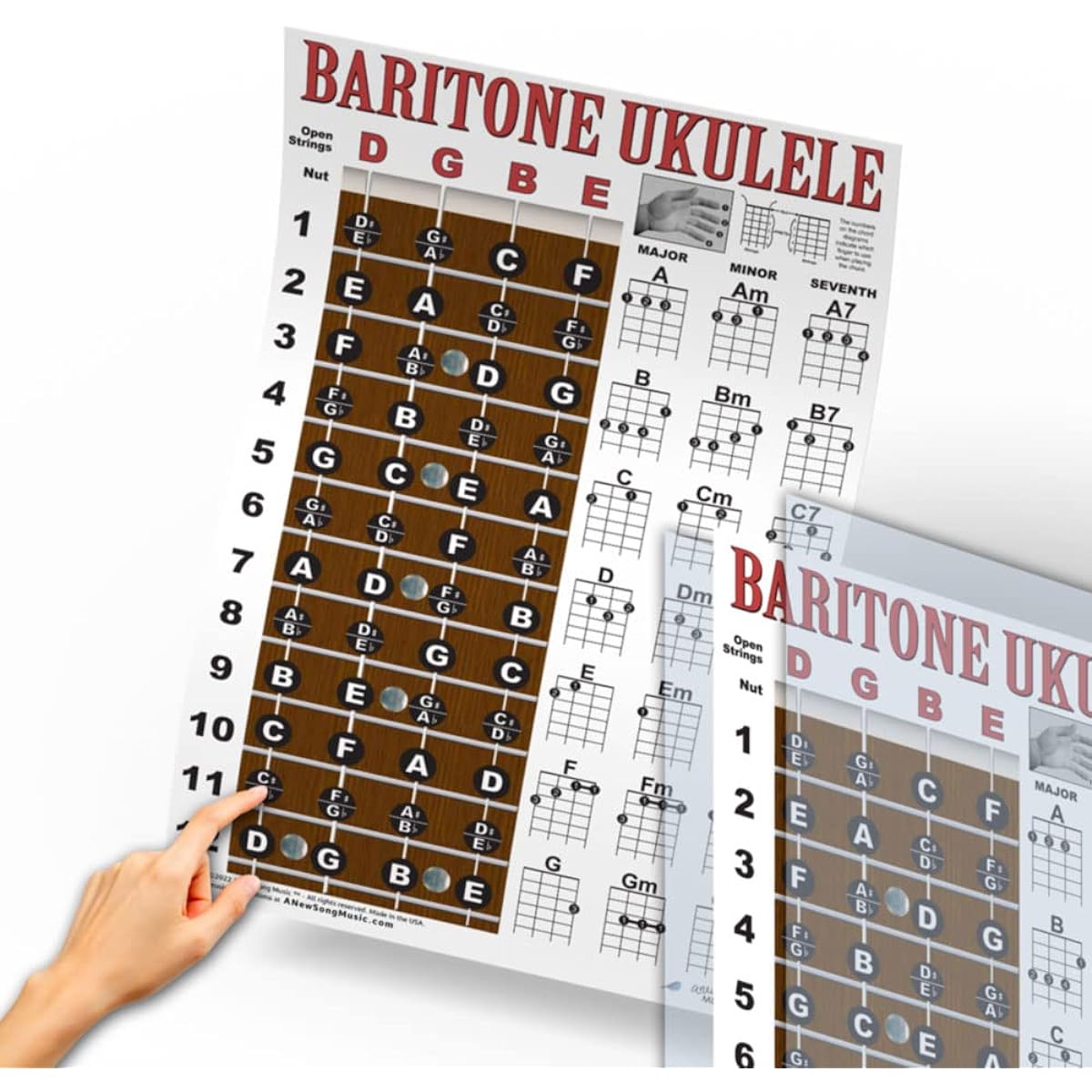 Laminated Baritone Ukulele Fretboard Notes & Easy Beginner Chord Chart 27.94cmx43.18cm Instructions Poster for Bari Uke New Song Music