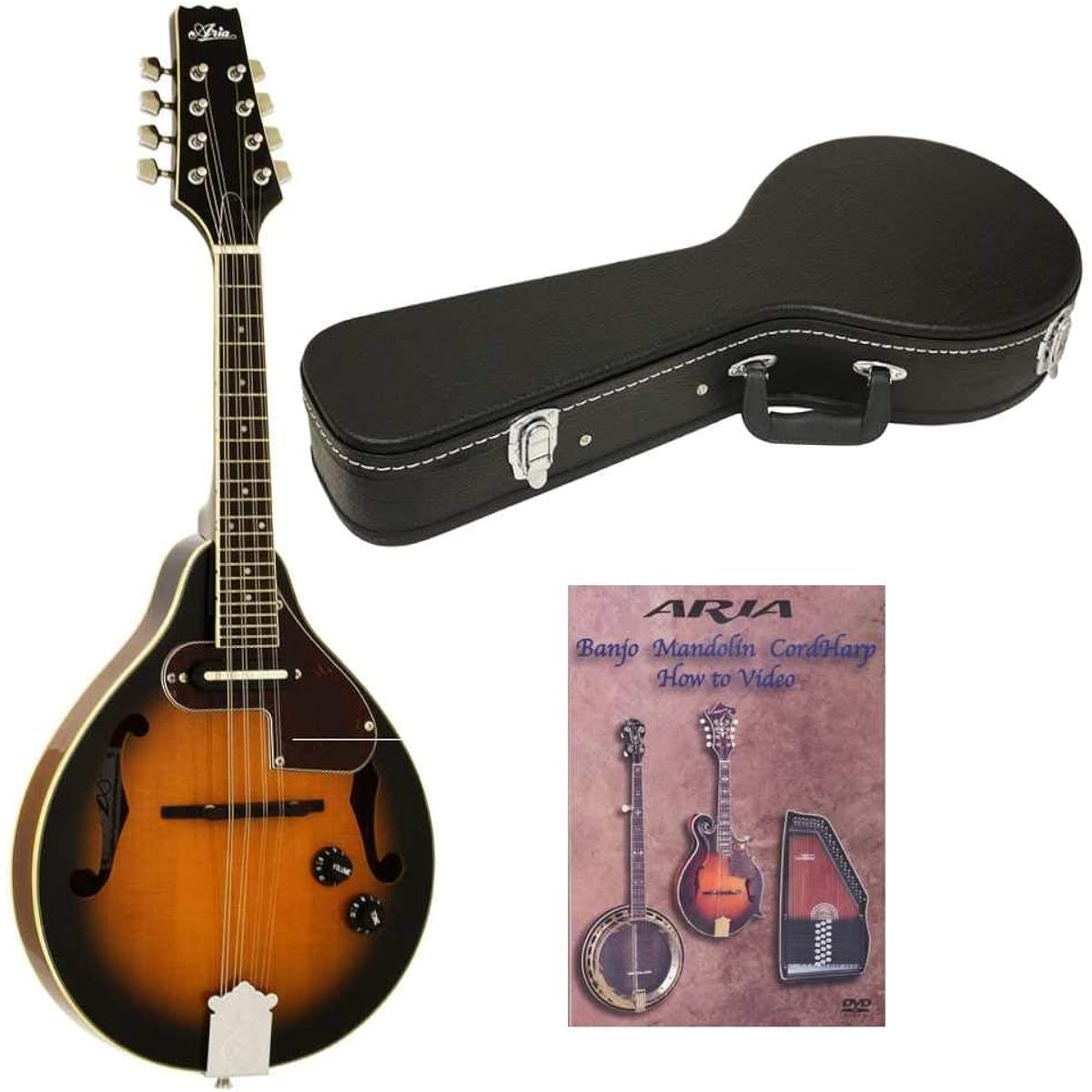 [Hard case + DVD included] Aria/Aria AM-20E electric mandolin flat type