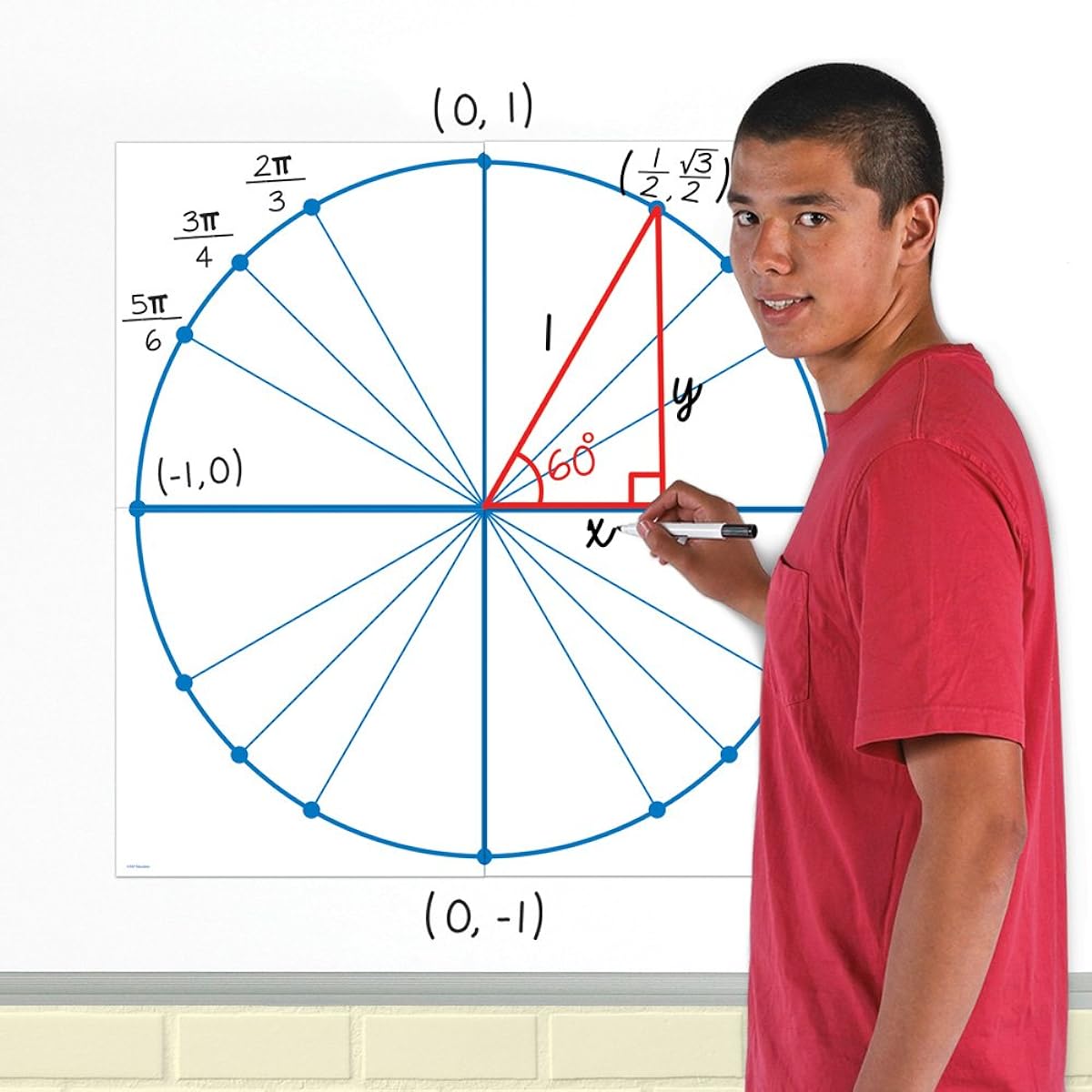 EAI Education Jumbo Magnet Unit Circle