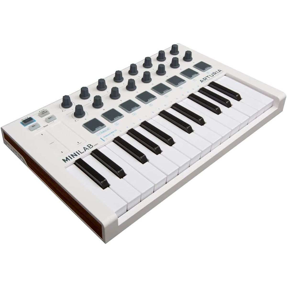 Arturia MiniLab MkII 25 Slim Key Controller Bundle 3.0 with 4-Port USB Hub (2 Items)