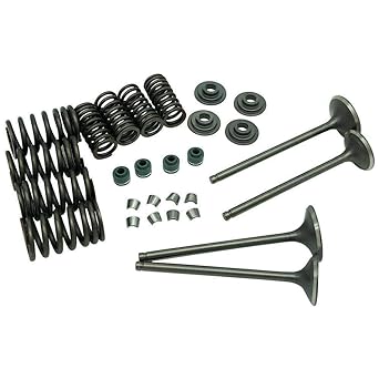 JINFANNIBI Cylinder Head Intake and Exhaust Valve Seal Spring Gasket Kit Compatible with Sportrax 400 TRX400EX TRX400X XR400R 400EX 1999-2014