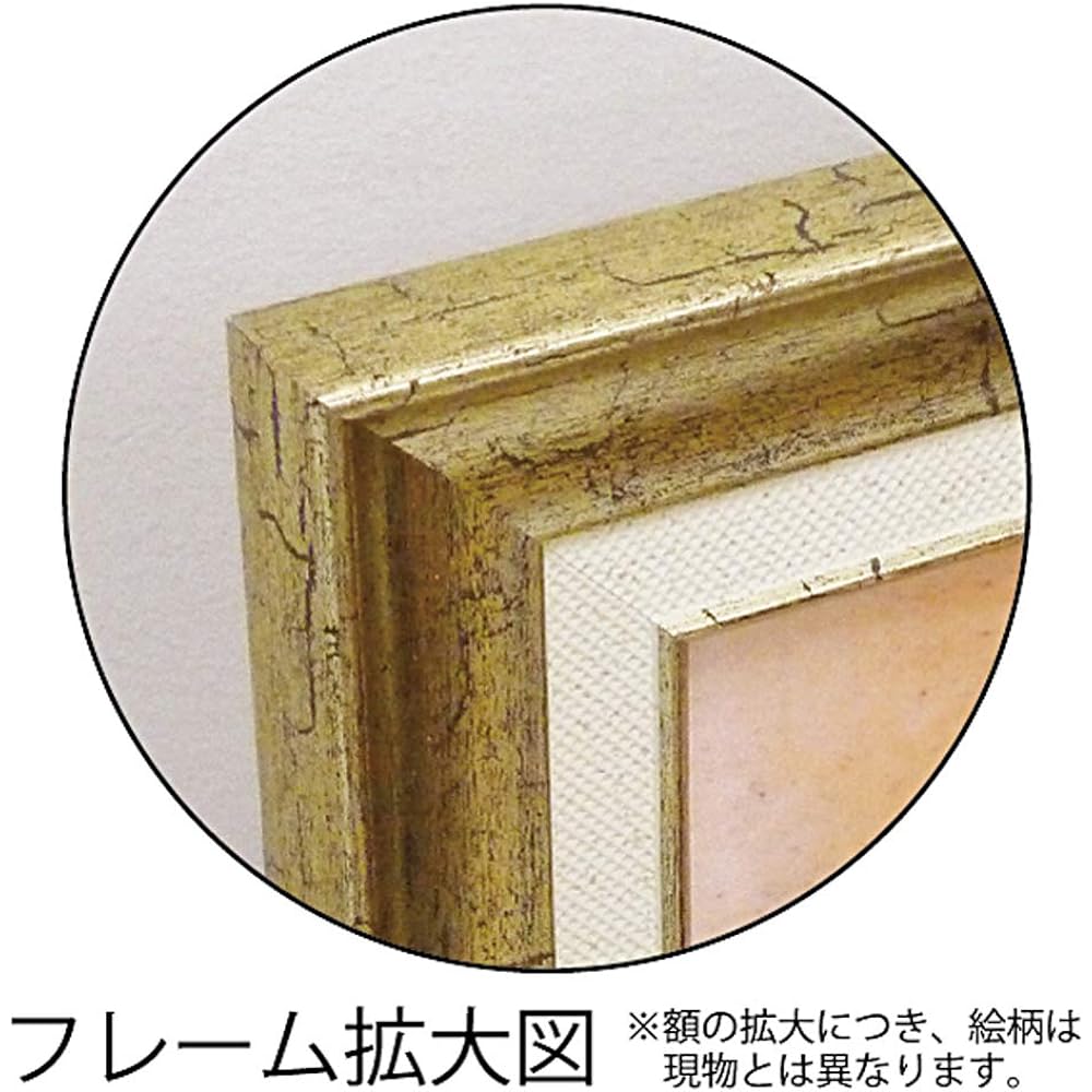 U-Power Art Frame/Still Life Multicolor Weight: Approx. 0.9kg Sam Toft Gel Processed Art Frame ST-10023