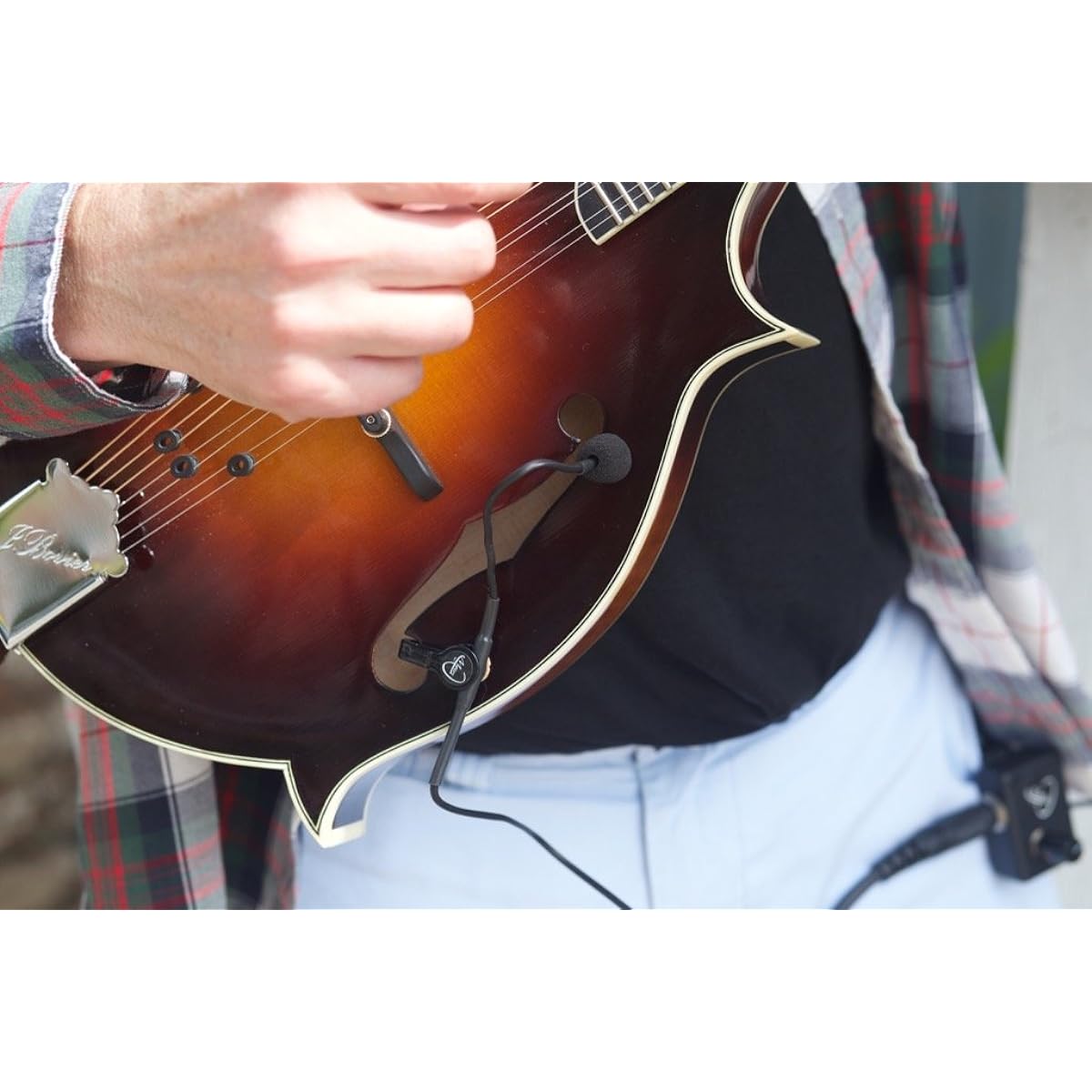 Flexible MICRO-Gooseneck FEATHER F-STYLE Mandolin PICKUP by Myers pickup