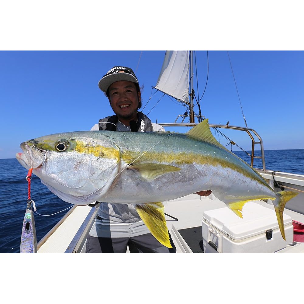 Nature Boys Metal Jig Wiggle Rider 190g Anchovy WR1190-04K Lure