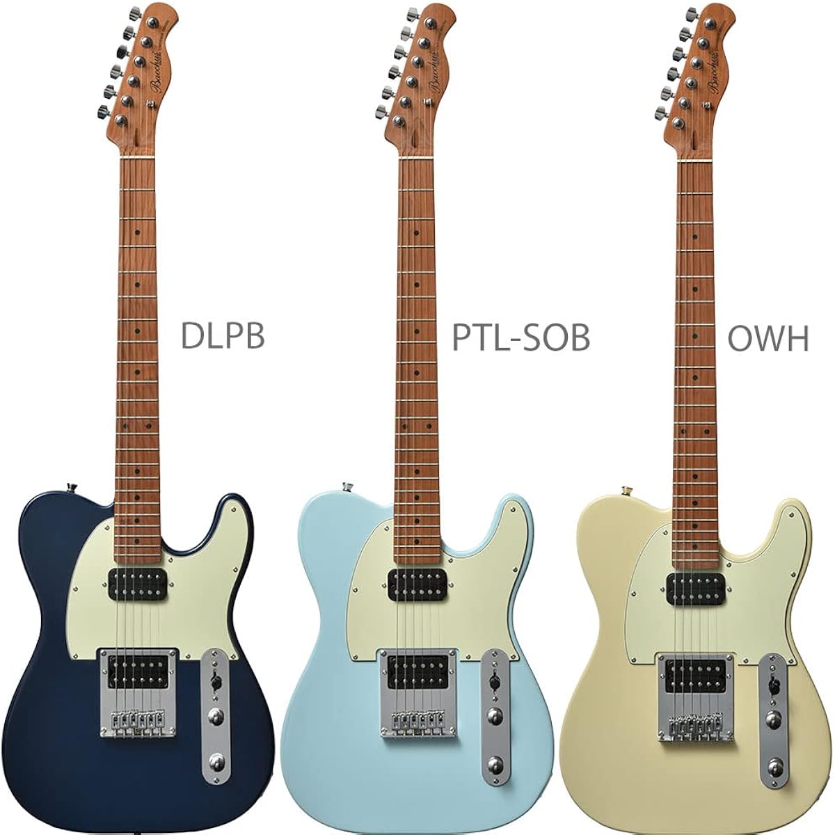 Bacchus BTE-3-RSM/M Electric Guitar Beginner 14-Piece Set [Includes MG10] SLPK Telecaster Type Roasted Maple Neck Bacchus