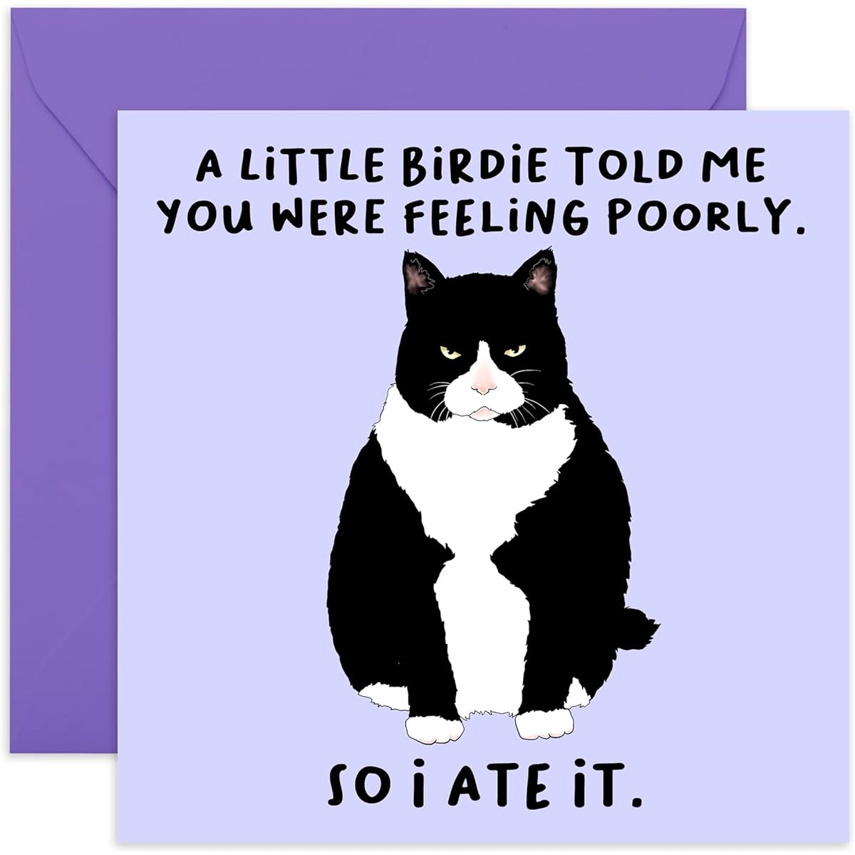 Central 23 - Funny Get Well Soon Card for Her - "A Little Birdie.Feeling Poorly" - Cheeky Get Well Soon Card for Him-Cat Design - Fun Stickers Included