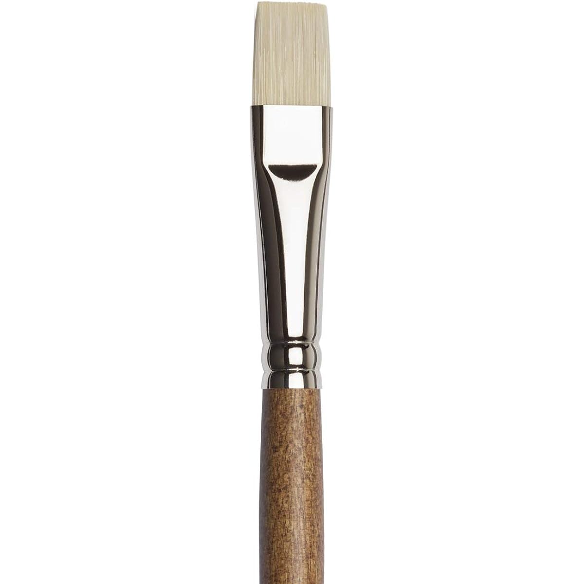 Winsor & Newton Artists Bright #8 Synthetic Oil Painting Brush, Brown