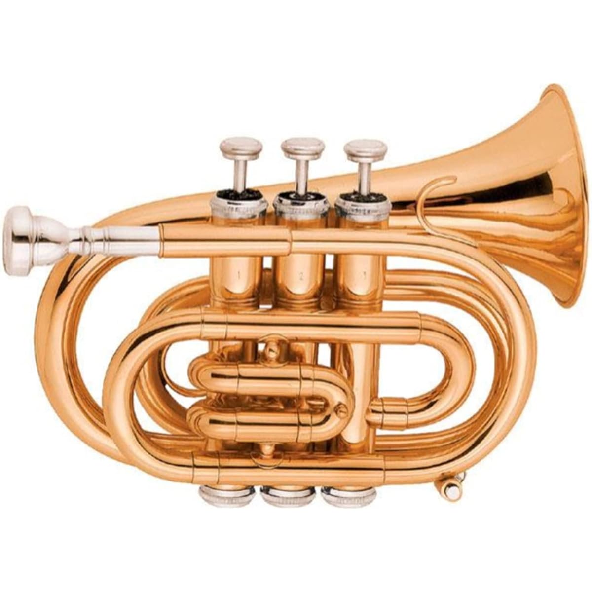 Gold lacquer pocket trumpet tone BB.