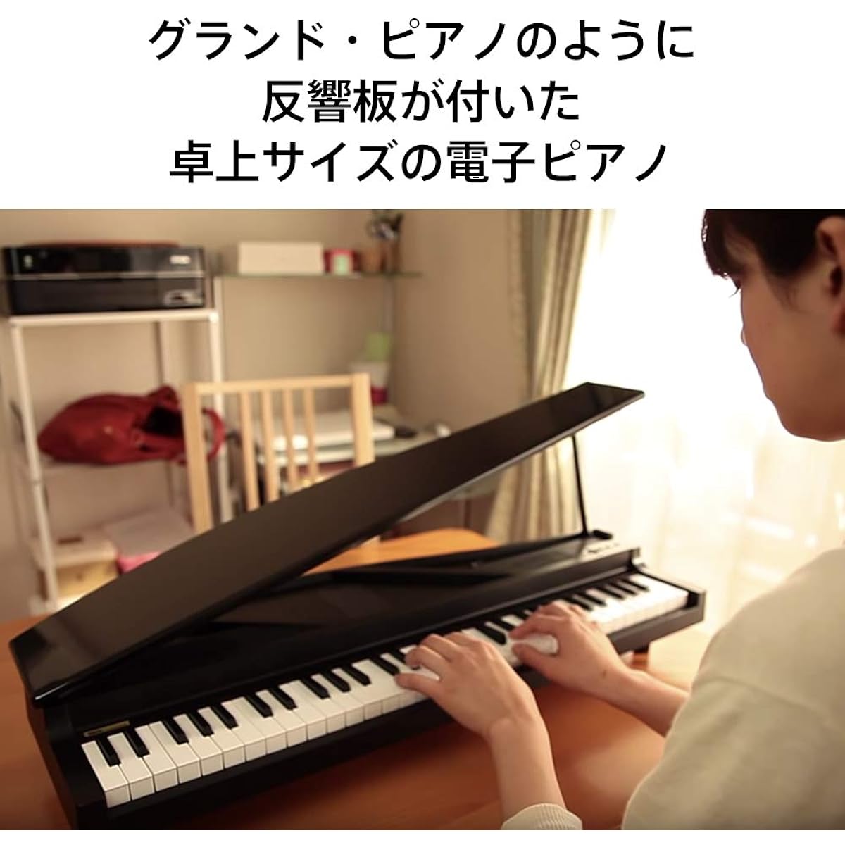 KORG MICROPIANO Micro Piano Mini Keyboard 61 Keys Black Pedal Set 61 Demo Songs Built-in Automatic Play