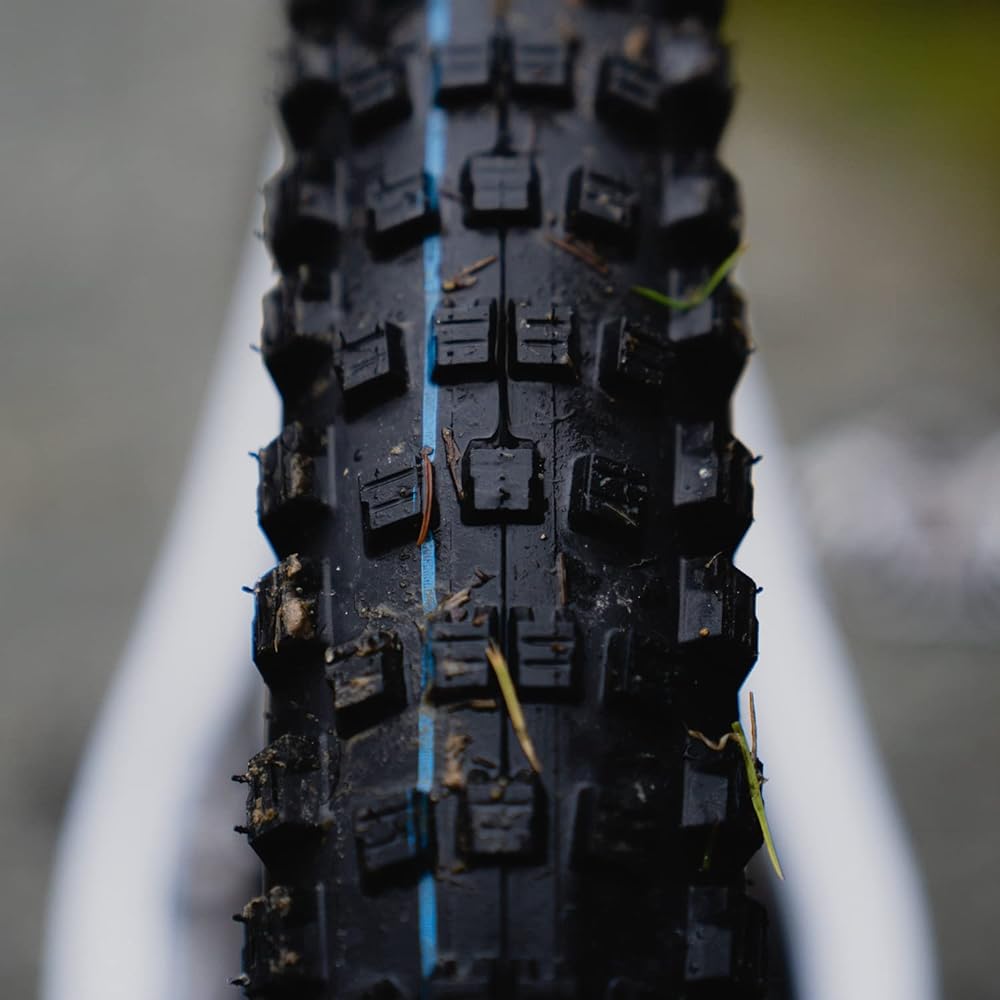 [Genuine] SCHWALBE Wicked Will 29x2.40 Kevlar Bead MTB Down Country Tire