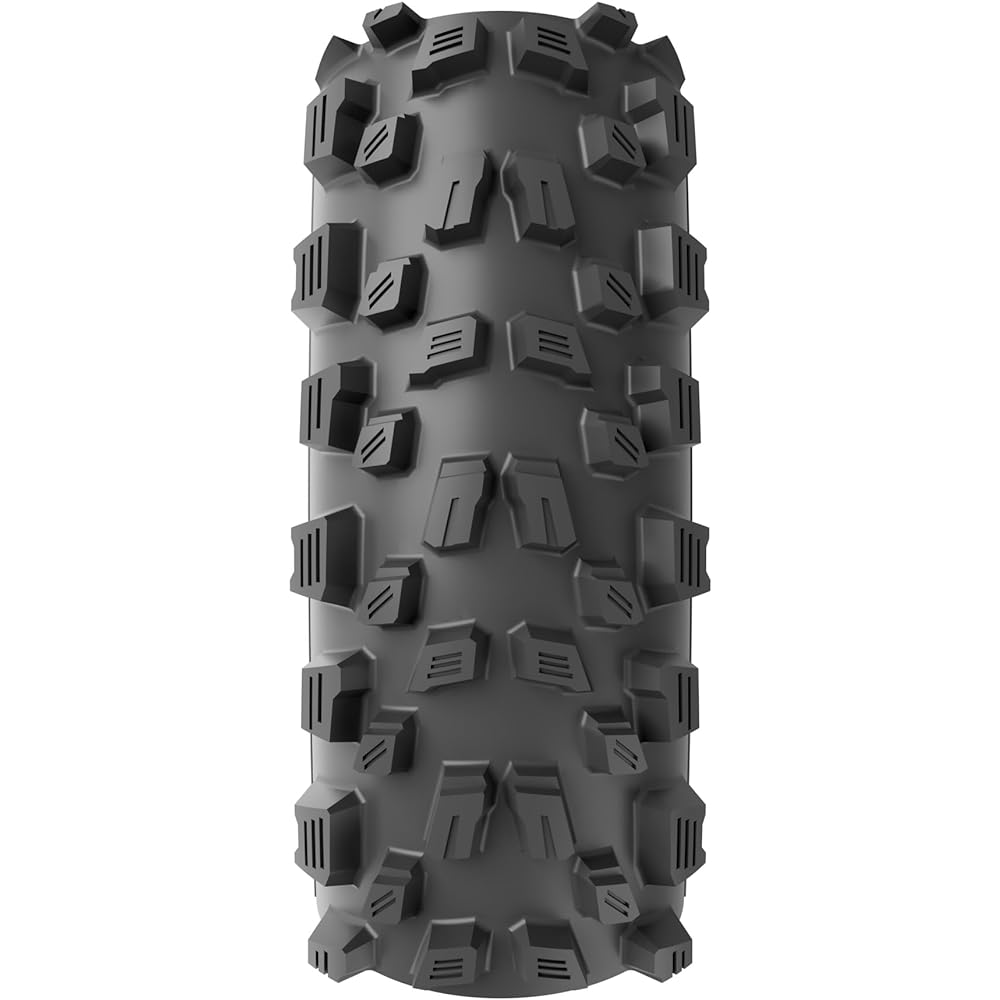 Vittoria Agarro G2.0 Tube Nontube [Agarro G2.0(TNT)] Black/Gray