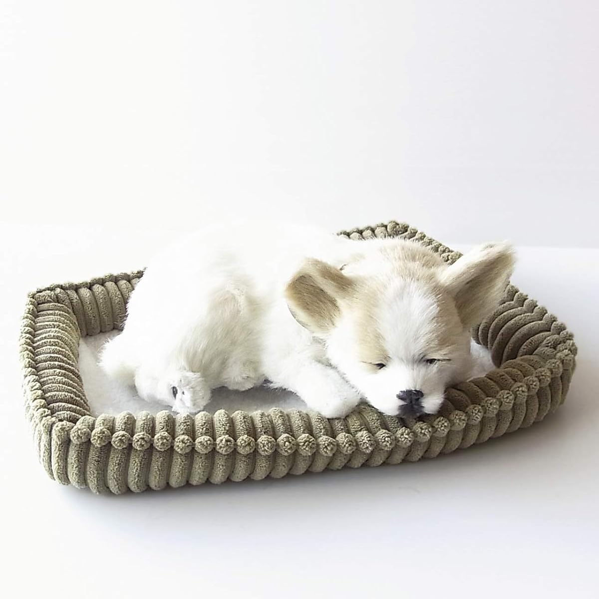 Nini and Kino Perfect Pet (Small Size) Chihuahua Smooth Stuffed Toy Dog Dog Realistic Looks Like Miscellaneous Goods Animal Healing Moving Present Gift Celebration Cute Dog Stuffed Toy