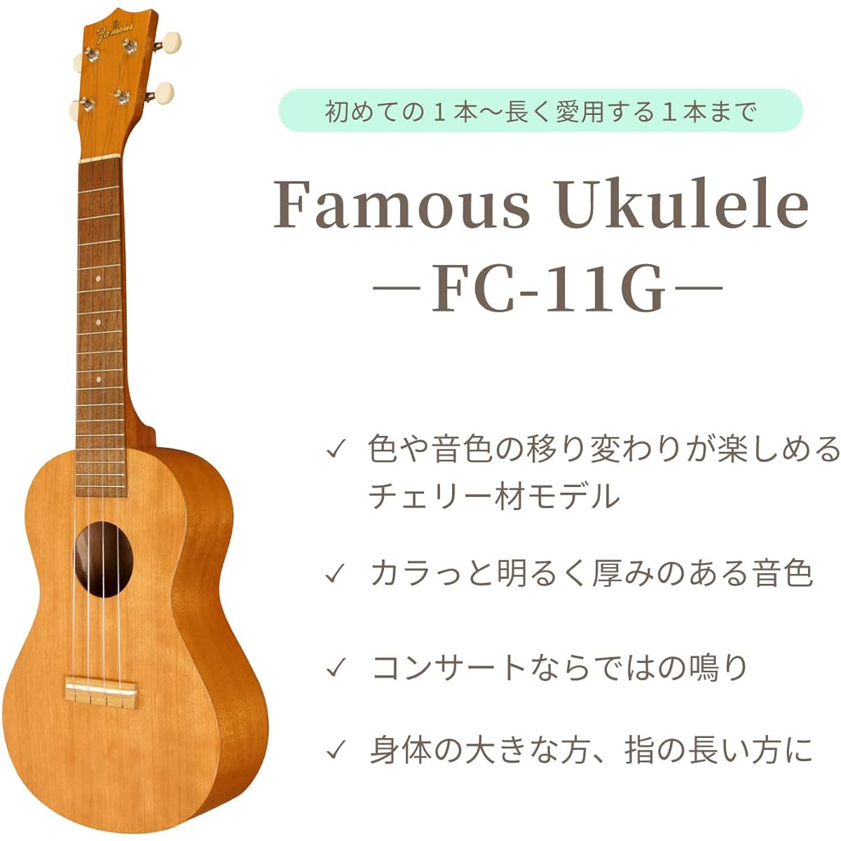 [Famous] Concert ukulele FC-11G (domestic cherry wood)