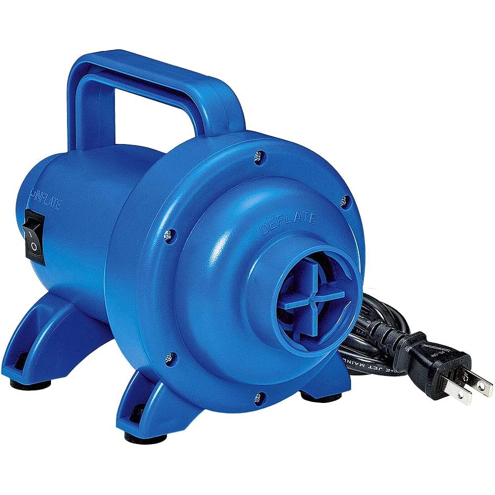 IGARASHI Electric Pump (AC Type) Ultra High Power (2.3ps)