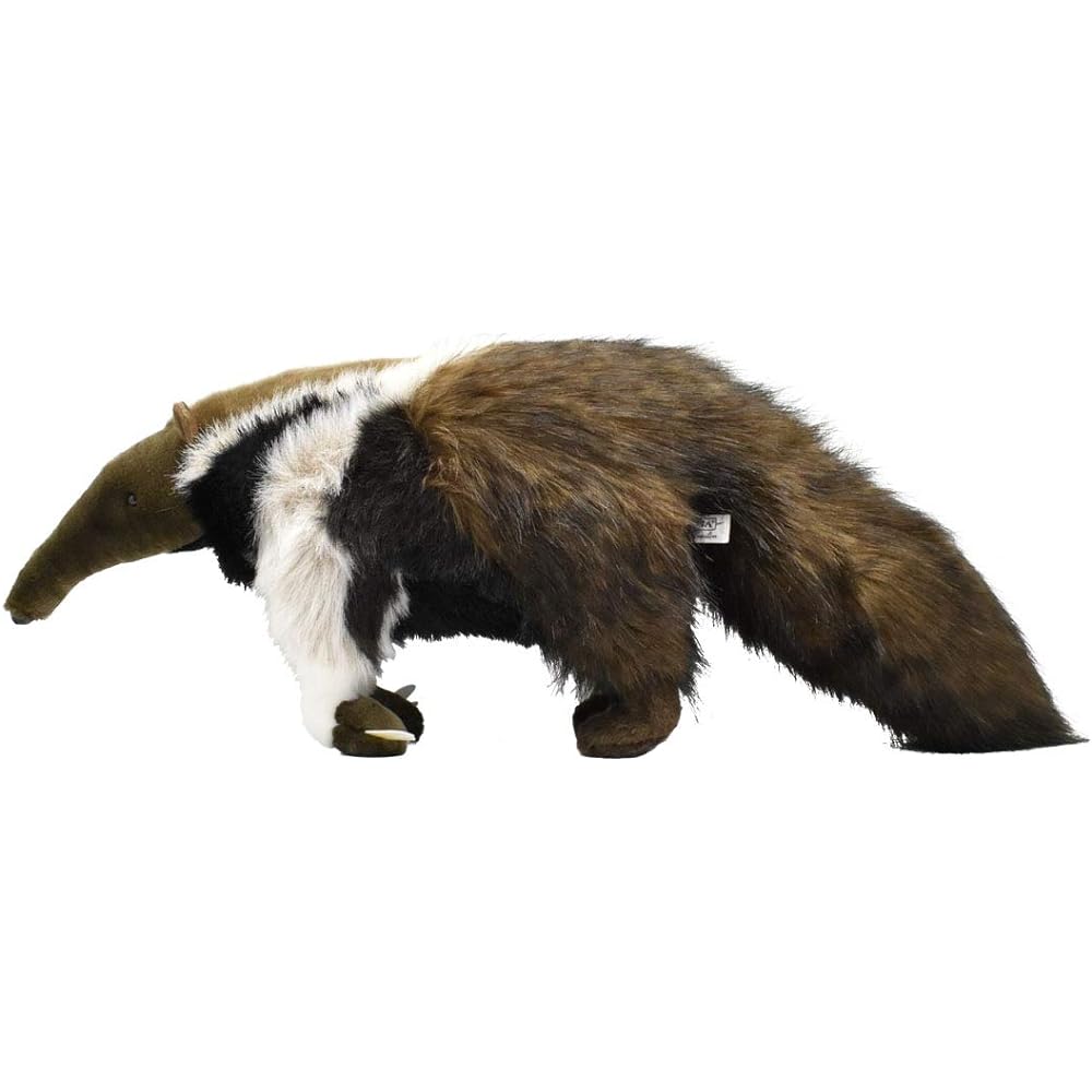 Giant anteater 7 No.3987