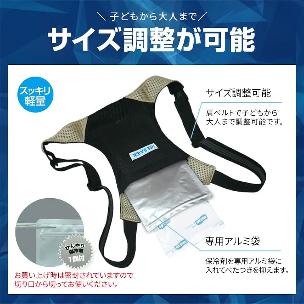 BRAIN Ice Bag 2 (with ice pack) Blue Free Size COOL DE ICE BR-530