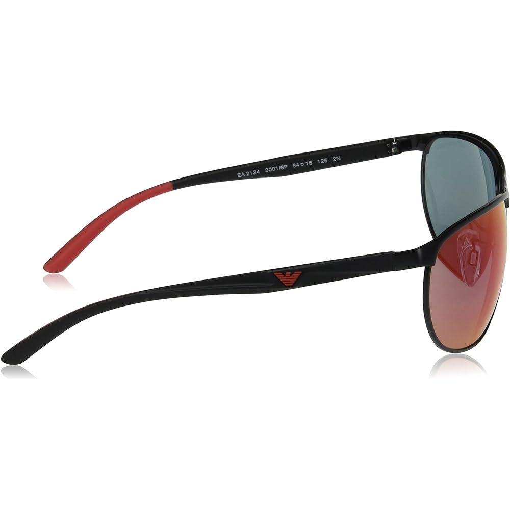 [Emporio Armani] Sunglasses EA2124