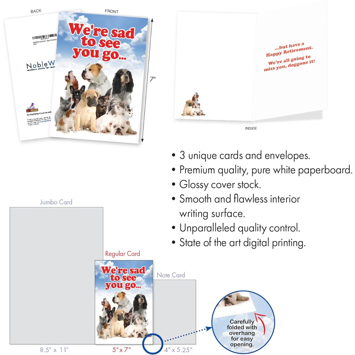 NobleWorks Set of 3 Hysterical Retirement Greeting Cards with Envelopes (3 Designs, 1 each) Group Goodbye VC10222RTG-C1x3-US