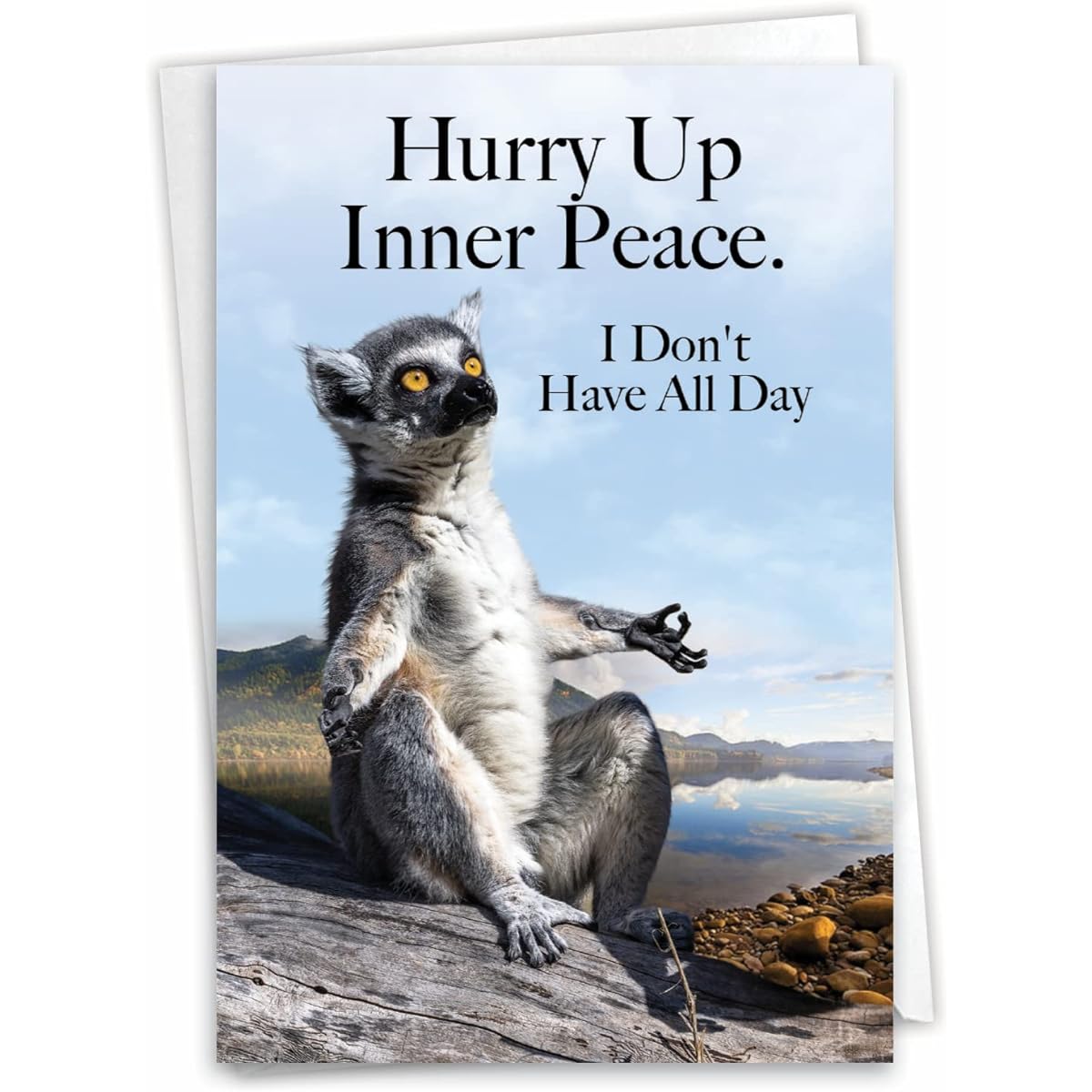 NobleWorks Funny Birthday Greeting Card with 5 x 7 Inch Envelope for Men and Women (1 Card) Meditation Birthday Inner Peace Rush C10253BDG