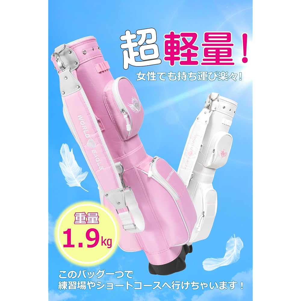 WORLD EAGLE Air CC15 Club Case White