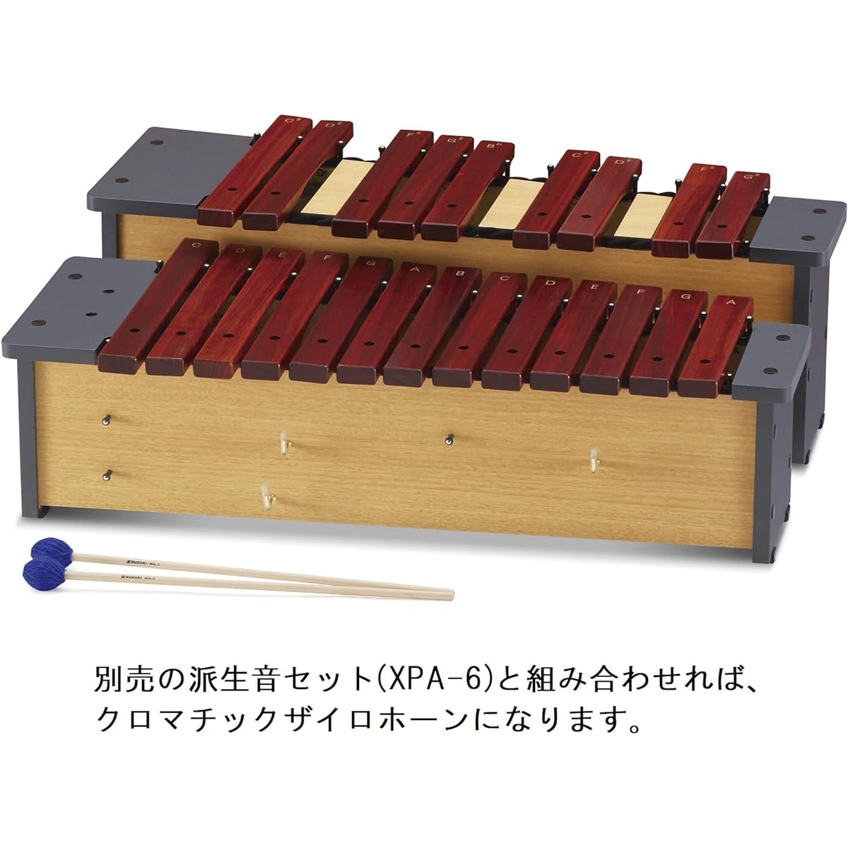 SUZUKI Suzuki Orff Musical Instrument Zylohorn Alto 16 notes XPA-16 13 main notes + 3 derived notes