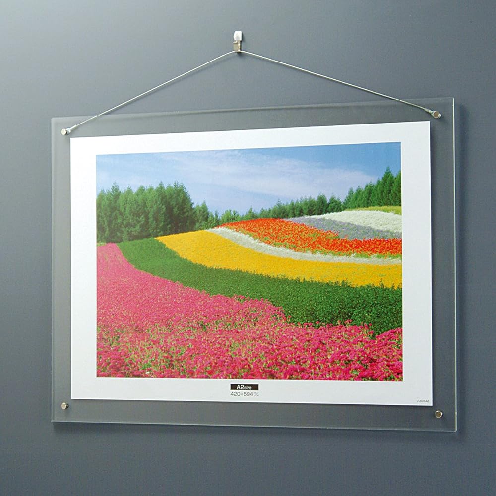 NAKABAYASHI Acrylic Picture Frame Wall Hanging Type A2 Fu-ACH-A2