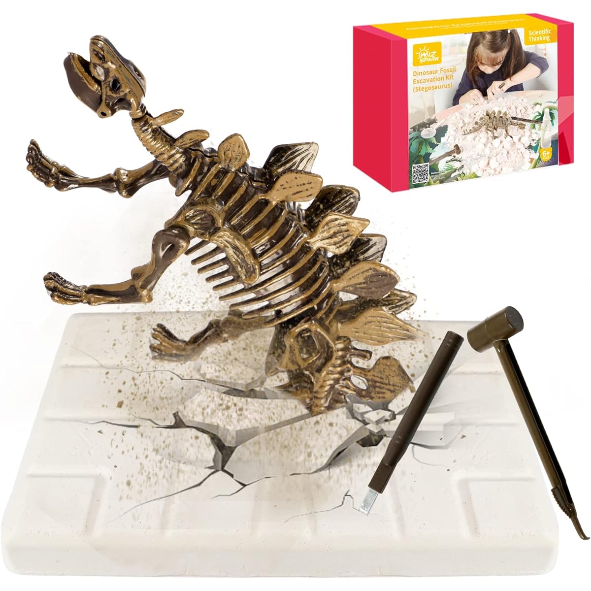 KidEwan Dinosaur Dig Fossil Kit for Kids Dinosaur Excavation Kit Educational Science Kit for Kids Dinosaur Skeleton Set for Boys Girls Basic Brachiosaurus