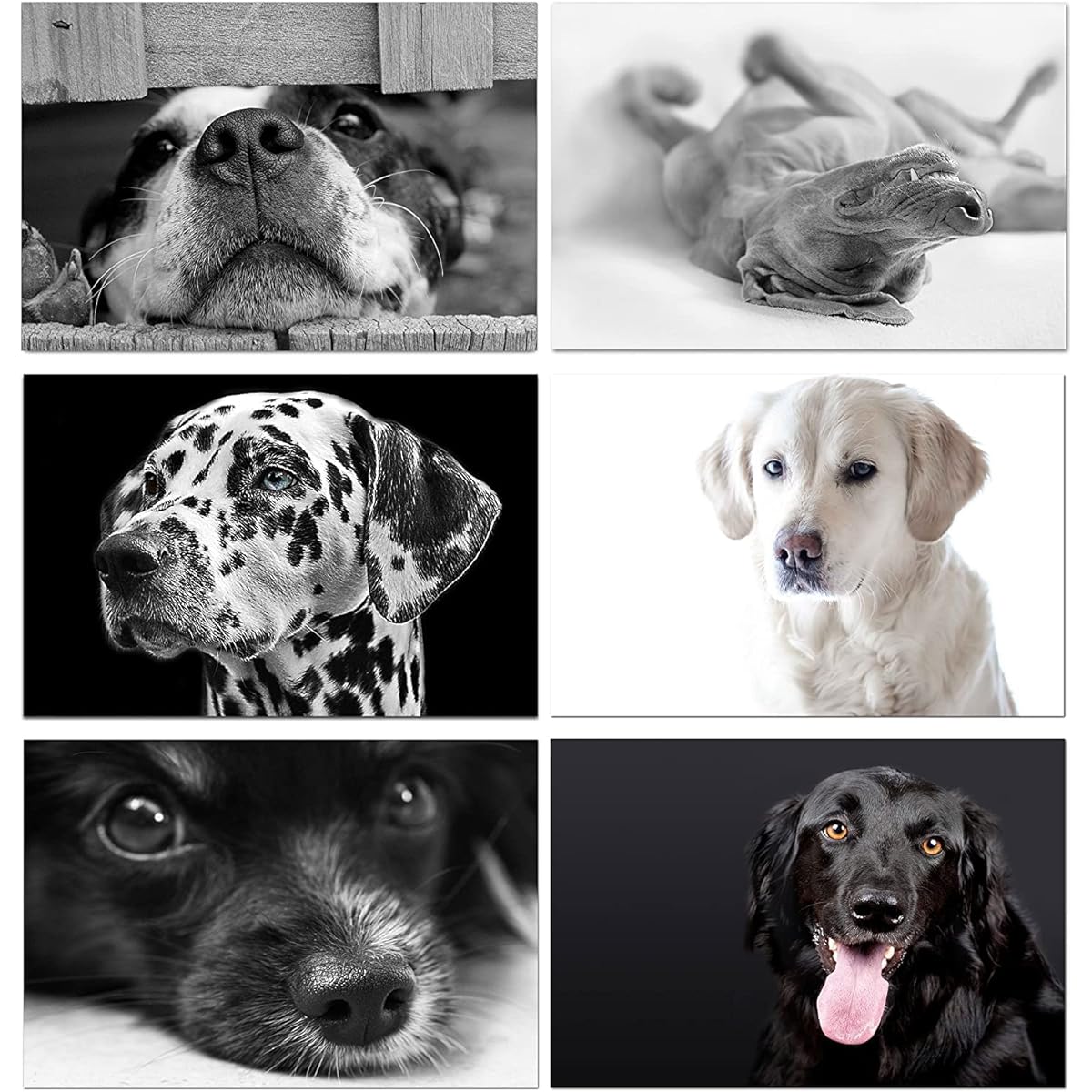 Small World Greetings Dog Greeting Cards - Blank Inside with Envelopes - 6 Unique Designs - Size A2 (5.5"x4.25") - Pack of 12