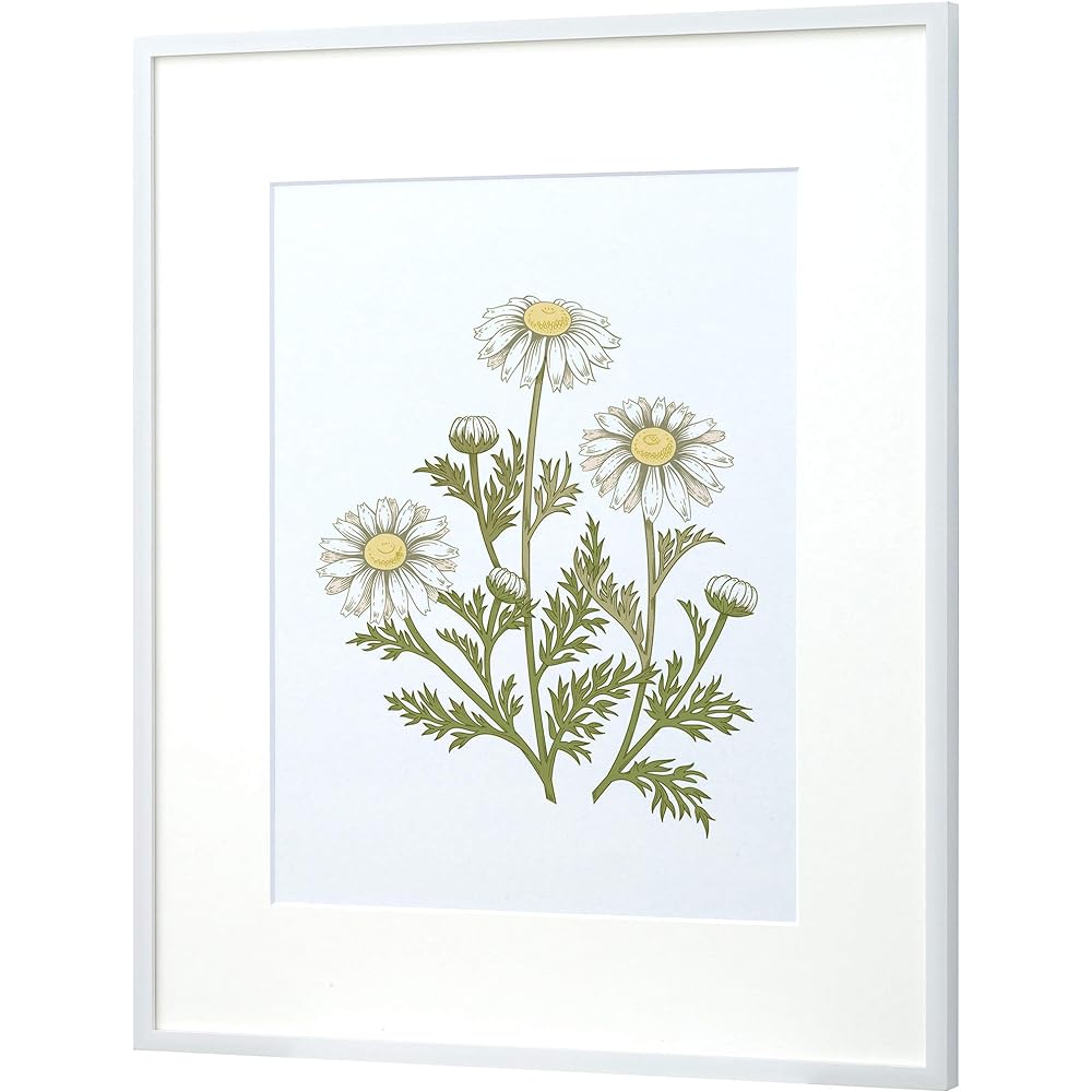 Larson Jules Nippon D771 White Watercolor F4 Acrylic D771373