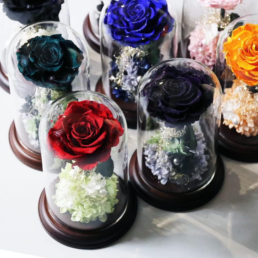 Makefuture Princess Fleur Preserved Flower Glass Dome Rose Beauty and the Beast Proposal Leather Black