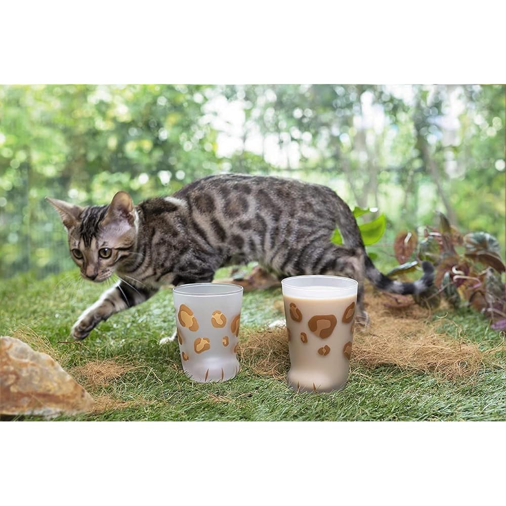 Tumbler coconeco glass coconeco parent cat [300ml / 4 pattern assorted set] in special craft box, made in Japan