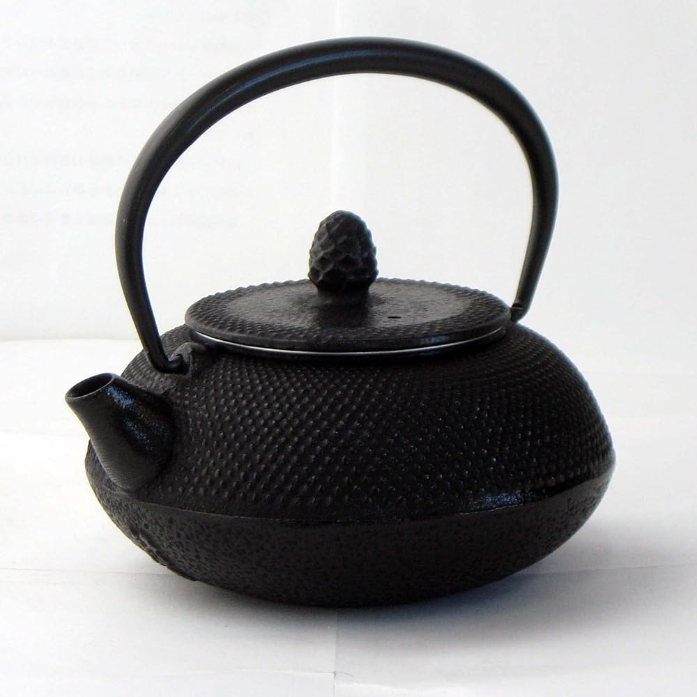 Nagao Mizusawa x Tsubame Sanjo Nanbu Ironware Teapot Santama Arare 180ml Made in Japan