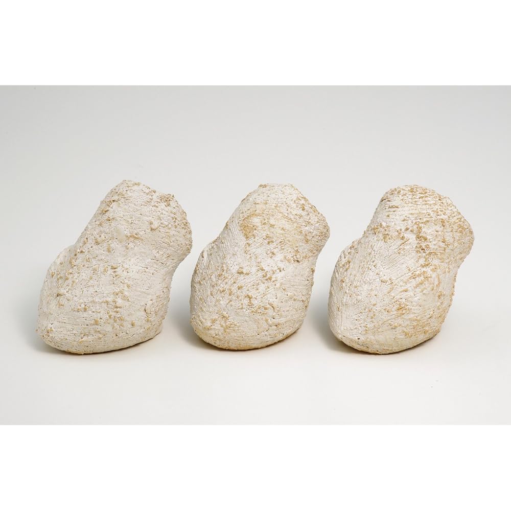Shigaraki Ware Hechimon Owl 3 Brothers (3 types set) 4-0175