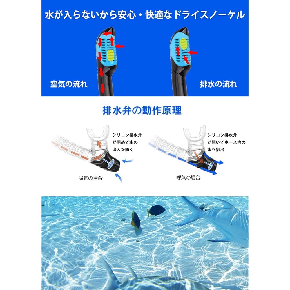 SEIDLITZ Snorkel Set Dry Snorkel Anti-Fog HD Real Waterproof Fit Snorkeling Set Mask Snorkel Snorkel Set Unisex